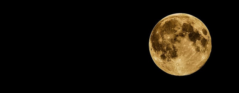 Moonlit Ceremony