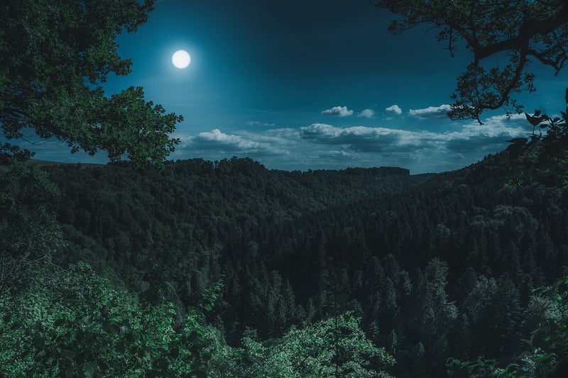 Moonlit Wedding Venue